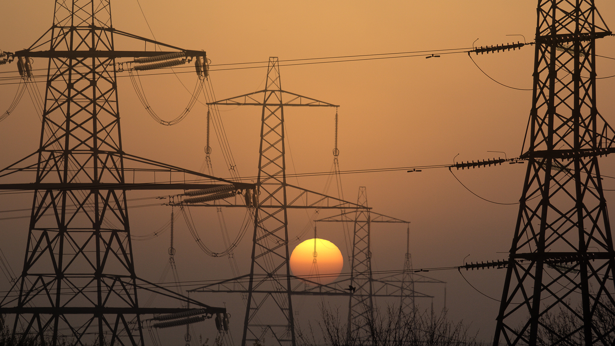 Renewable Energy Zone Access Rights